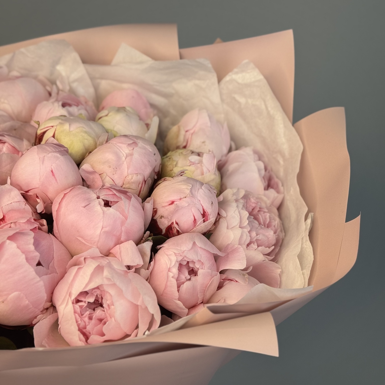 Букет из 51 пионов Сара