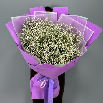 Букет из 25 белых гипсофил
