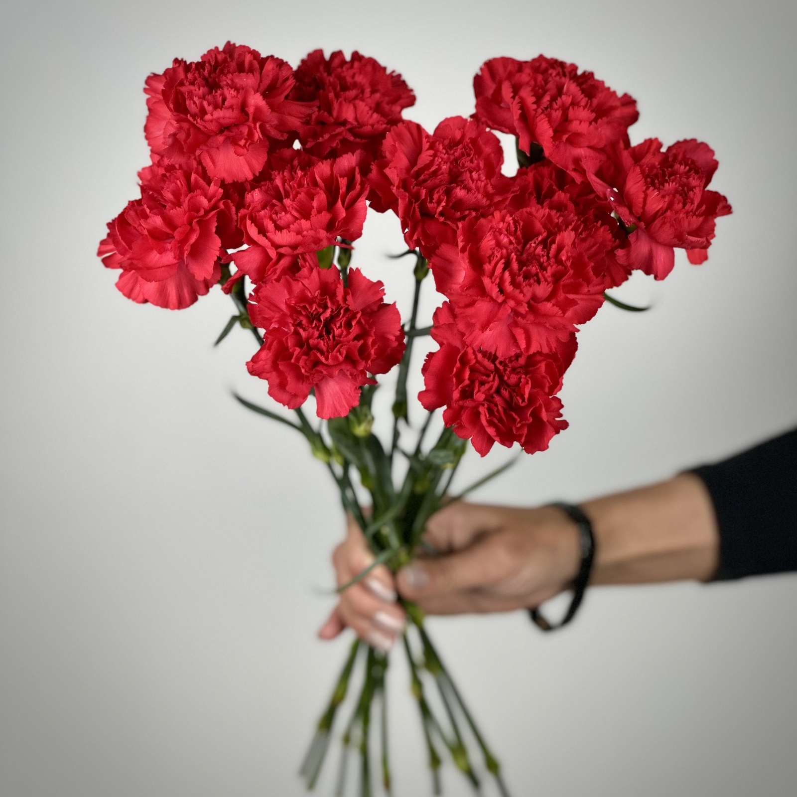 Букет из 11 красных гвоздик