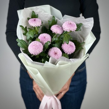 Букет из 7 сиреневых хризантем Момоко