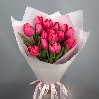 Букет из 15 малиновых тюльпанов