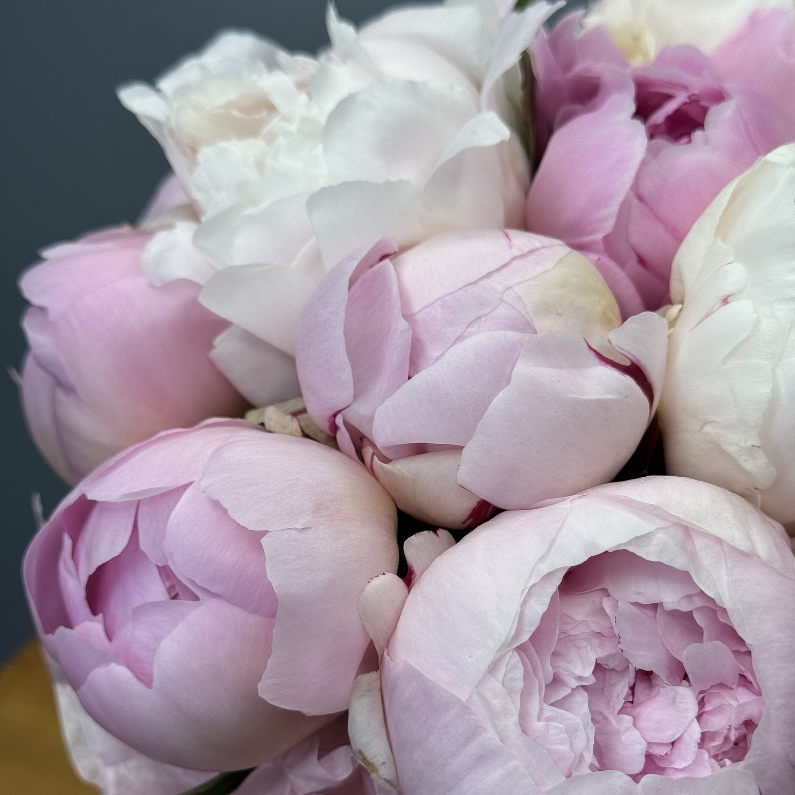 Цветы в коробке Пионы