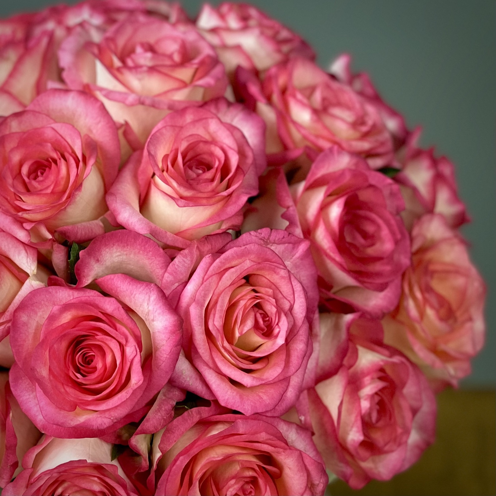 Розы Джумилия в шляпной коробке M