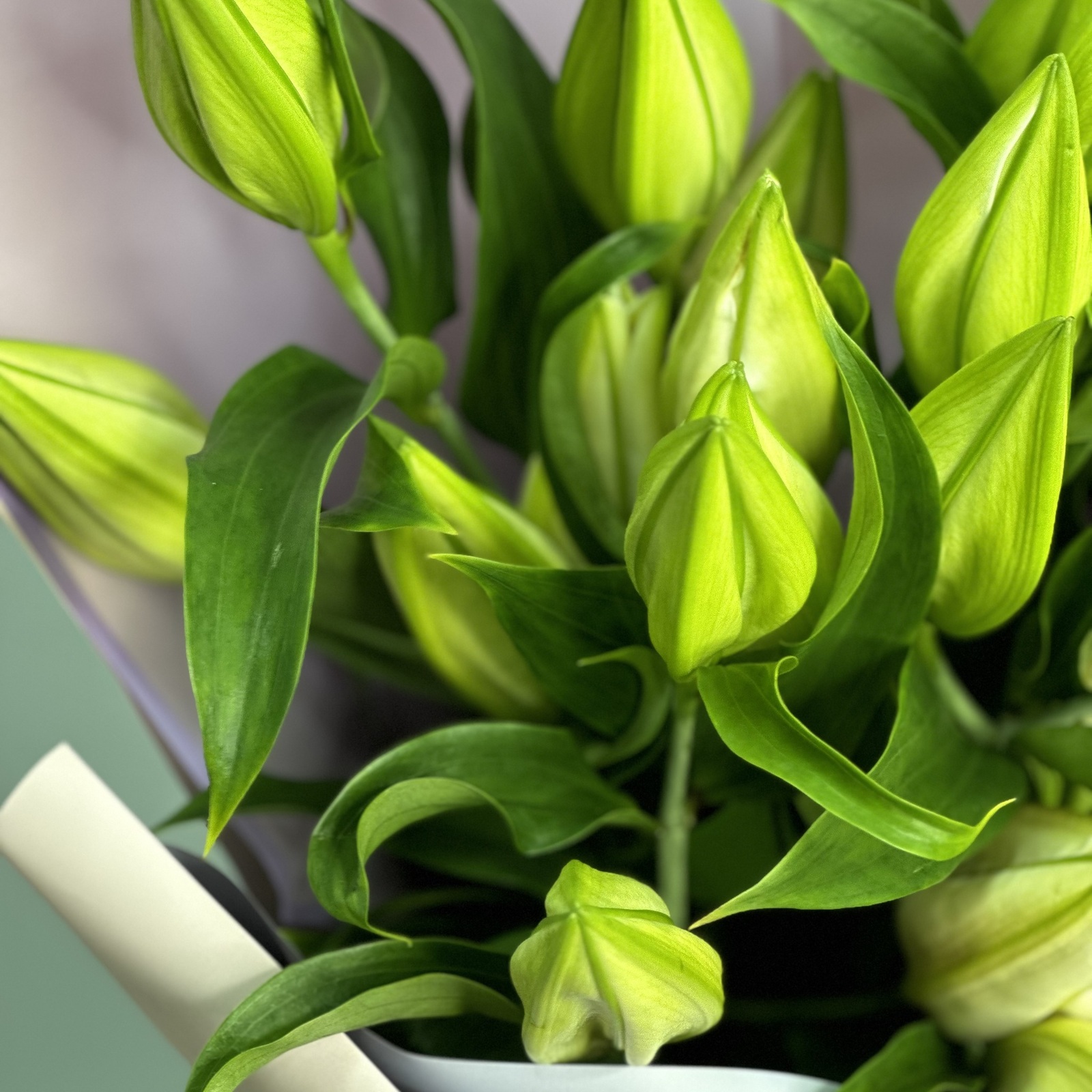 Букет из 5 белых лилий