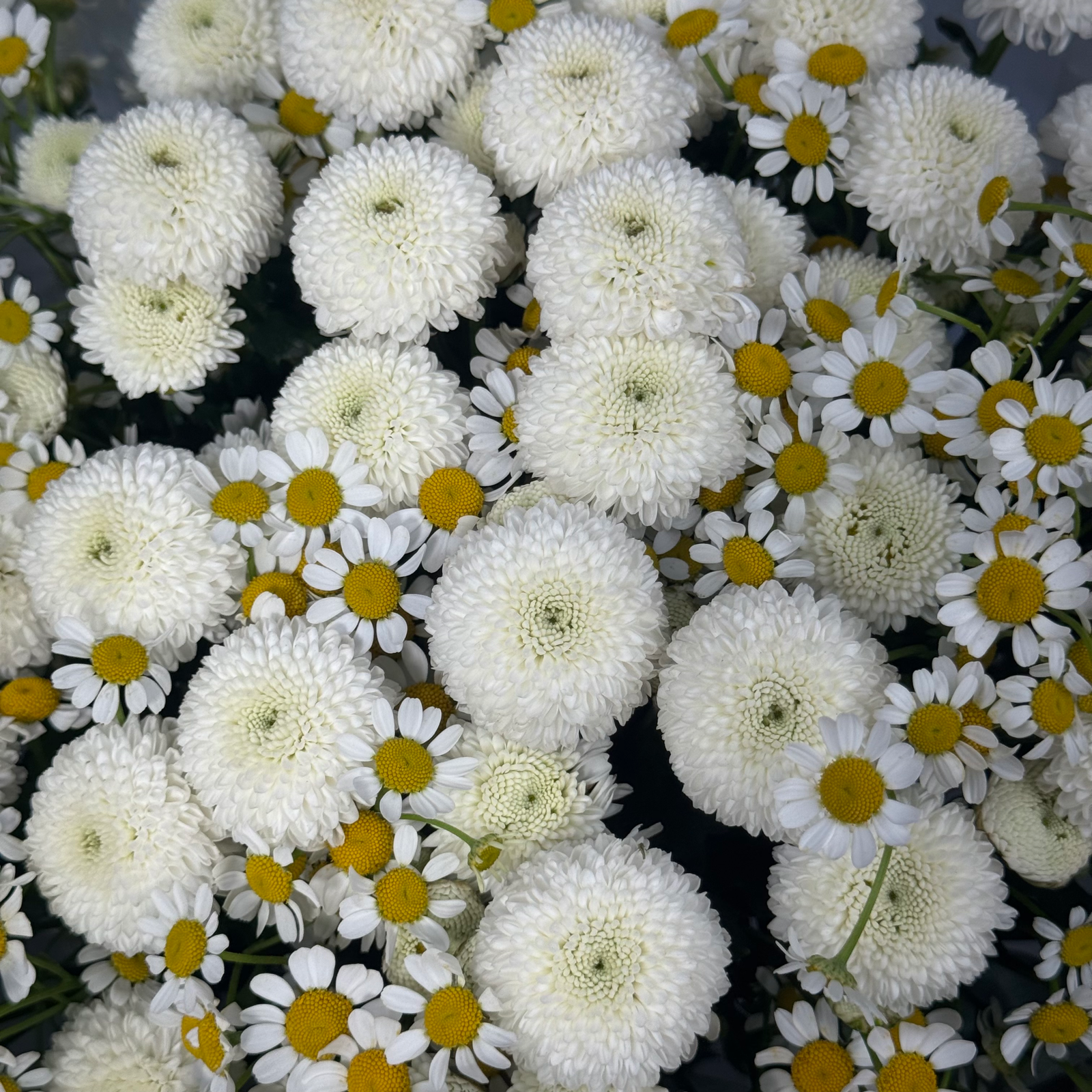 Букет Эстония