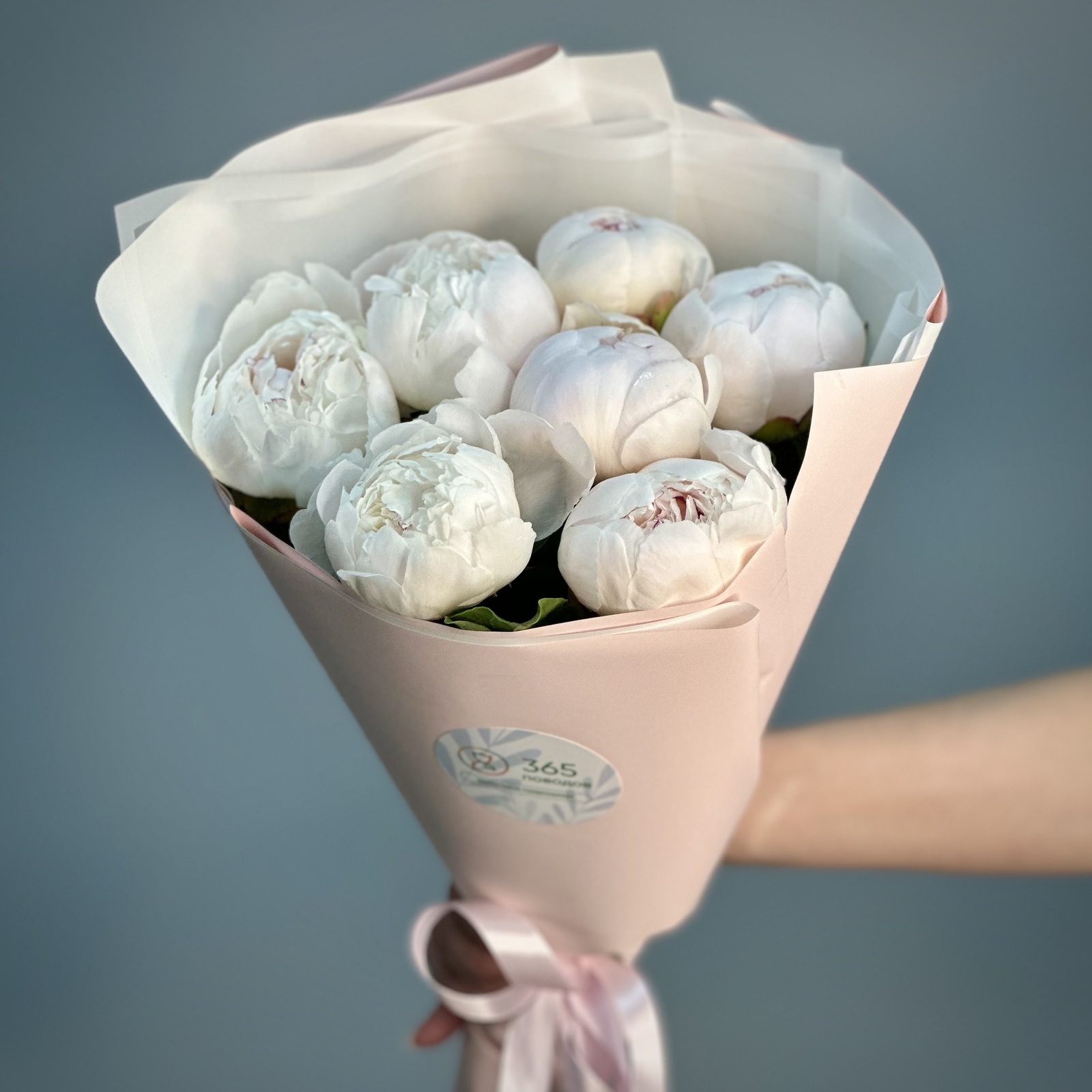 Букет из 7 бело-розовых пионов