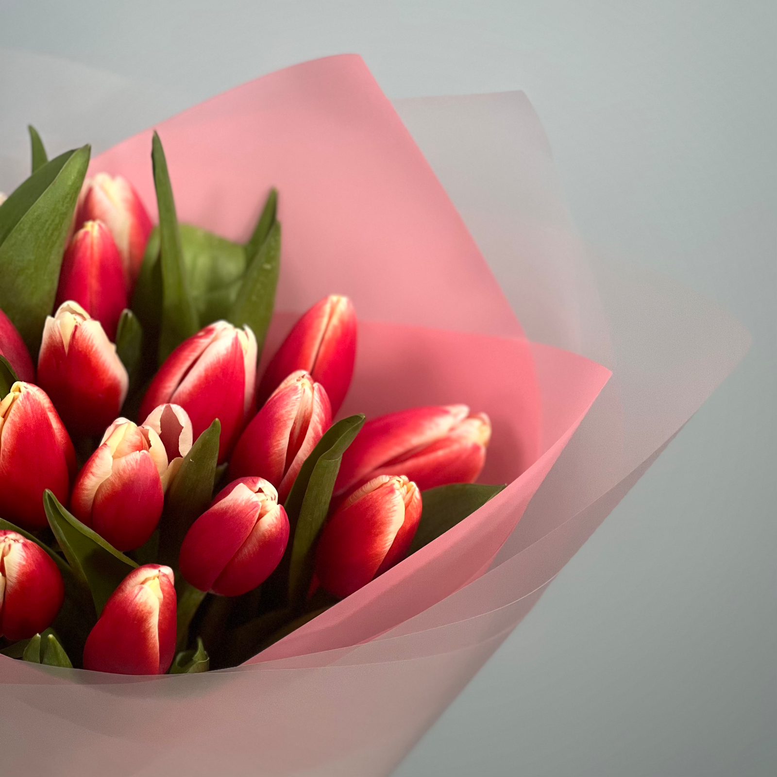 Букет из 21 красных тюльпанов