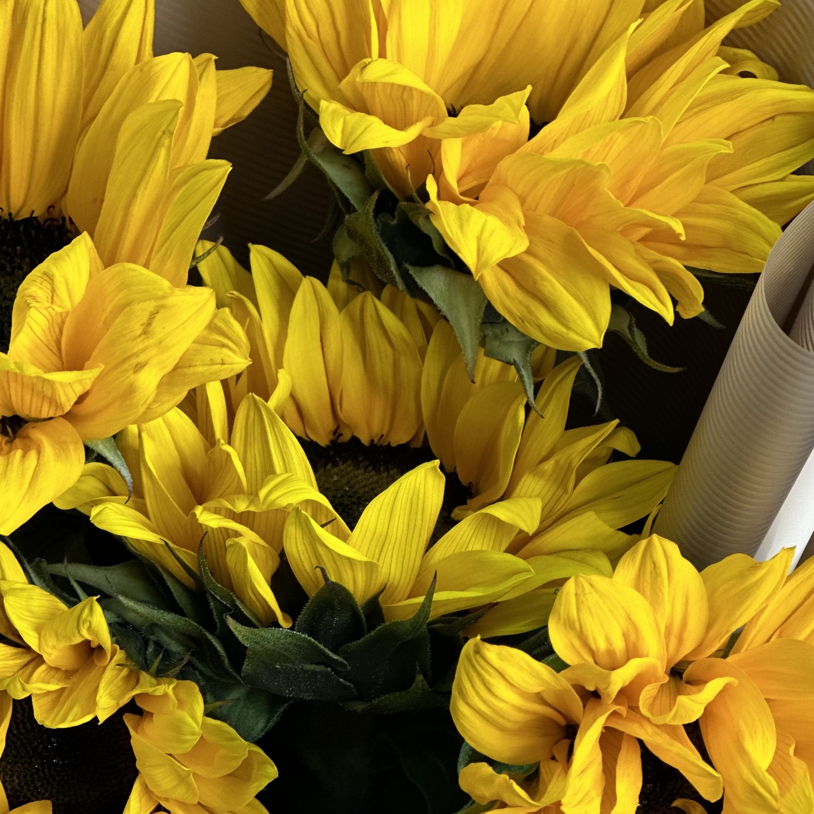Букет из 5 подсолнухов