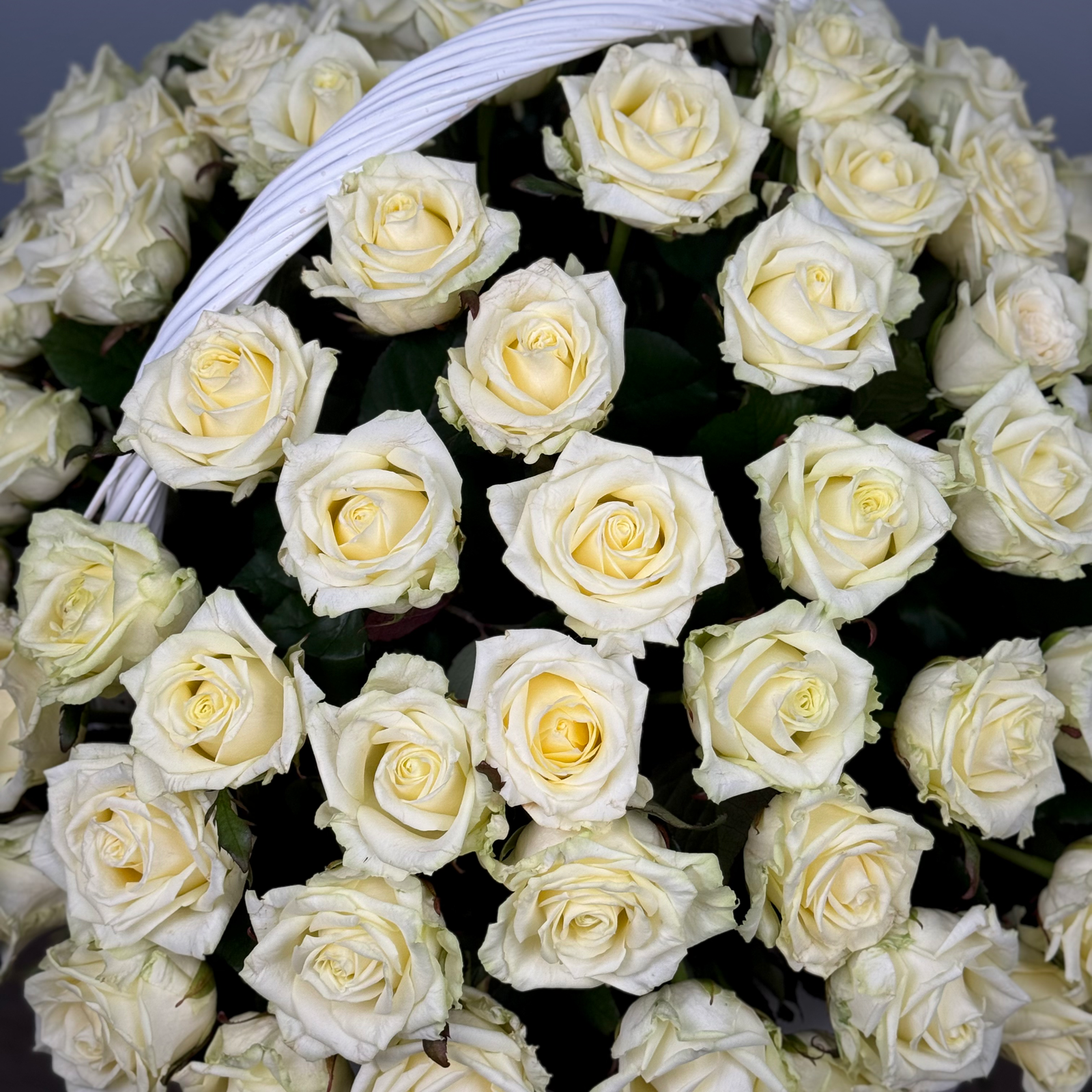 101 белая роза в корзине