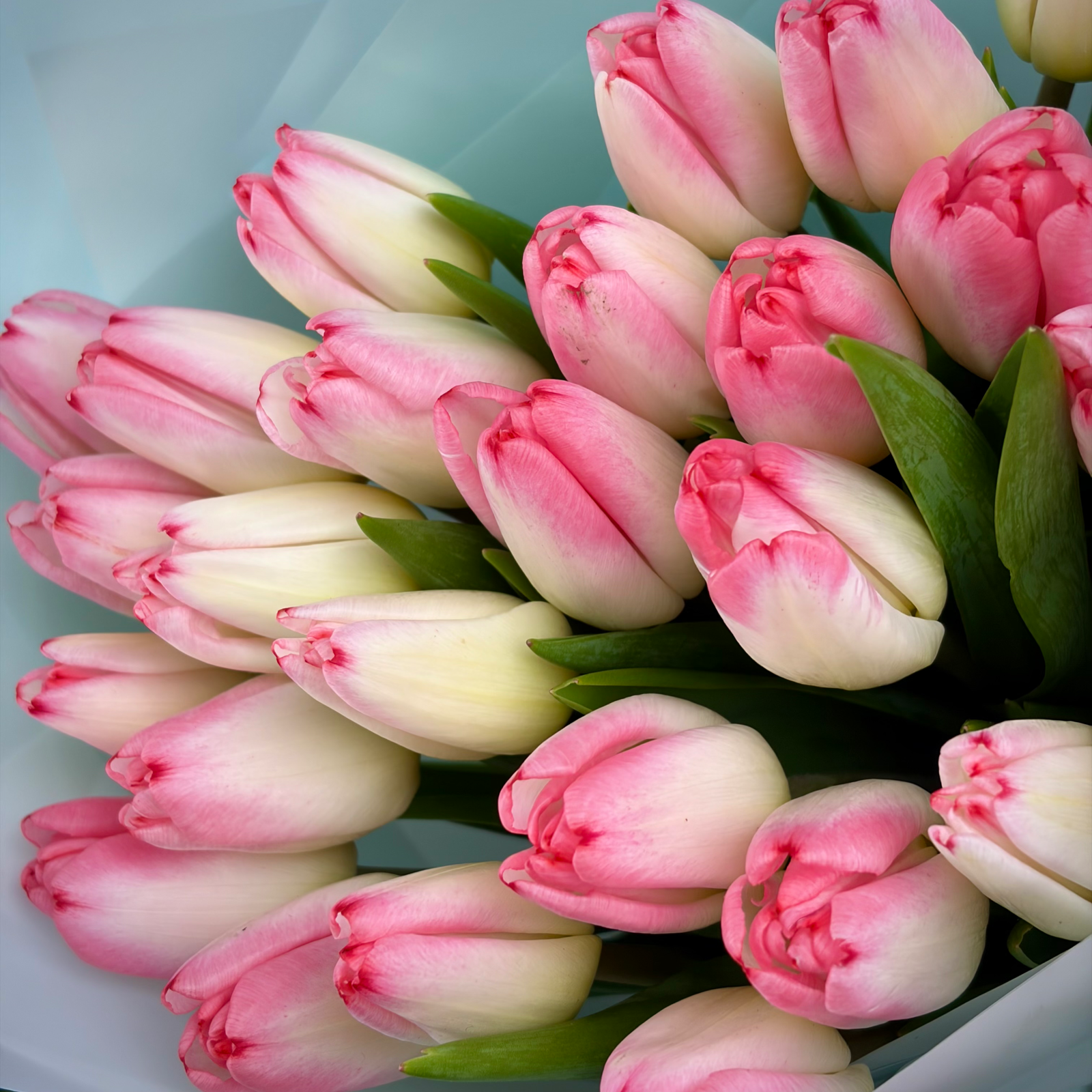 Букет из 41 розовых тюльпанов