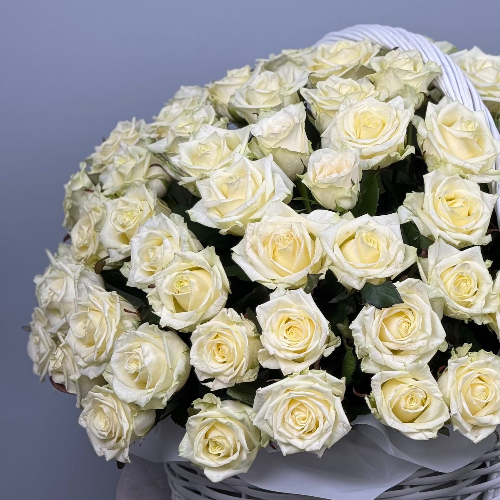 101 белая роза в корзине