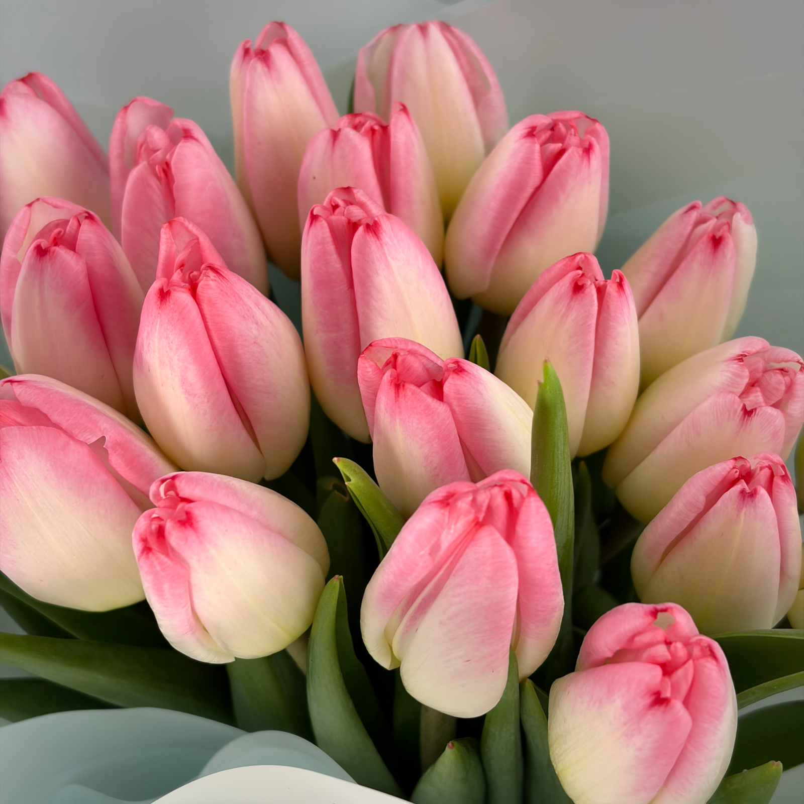 Букет из 21 розовых тюльпанов