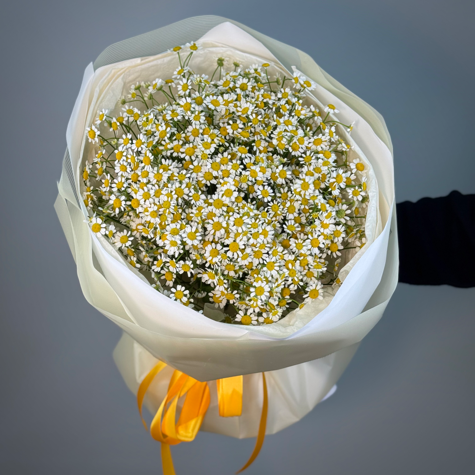 Букет из 19 ромашки