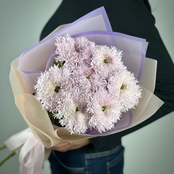 Букет из 7 сиреневых хризантем Этруско