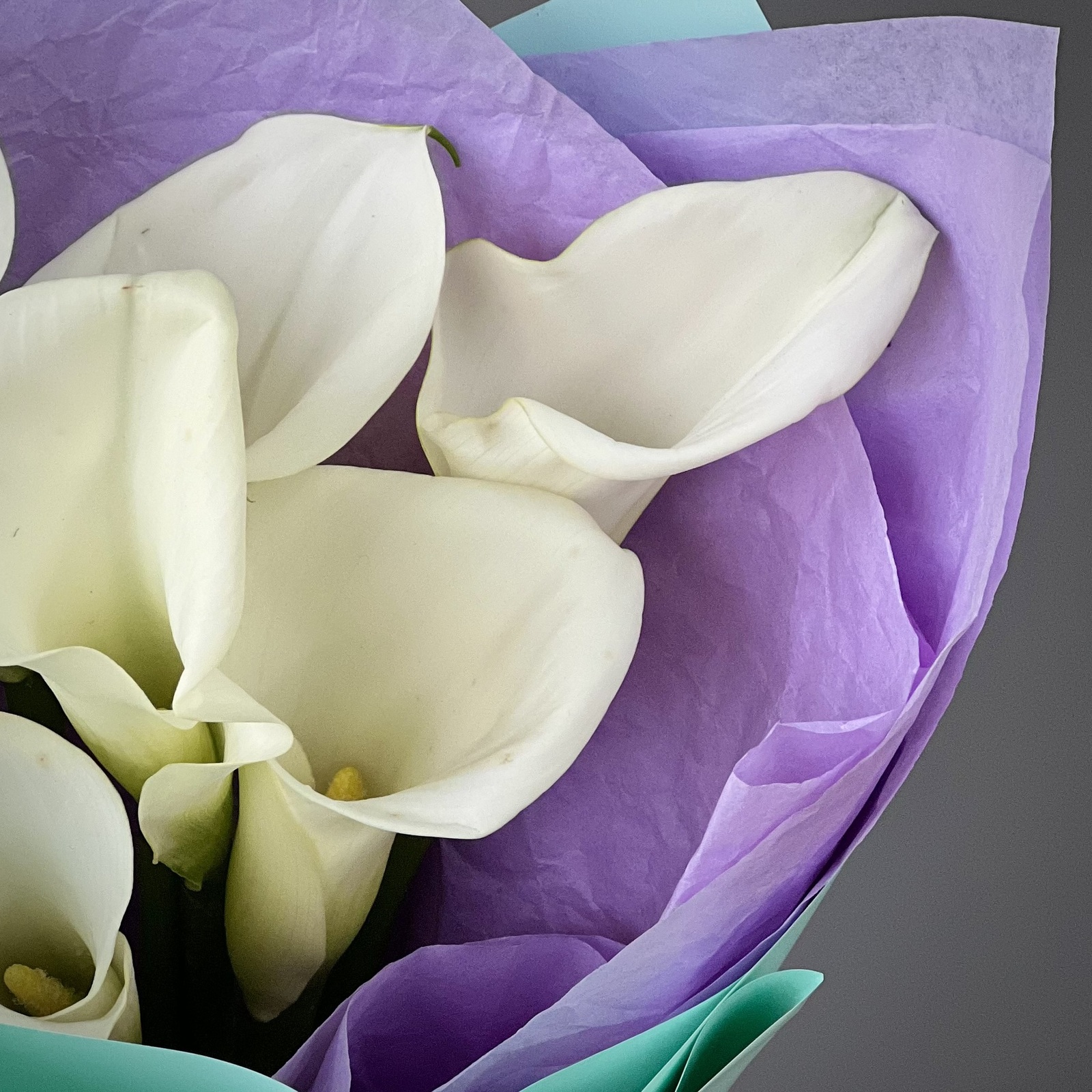 Букет из 7 белых калл