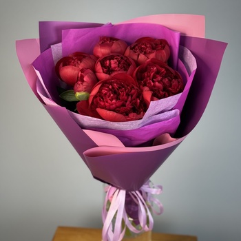 Букет из 7 бордовых пионов