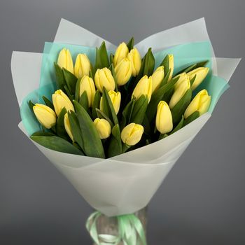 Букет из 21 кремовых тюльпанов