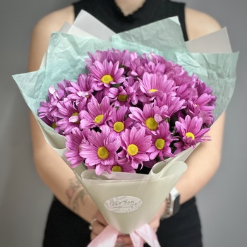 Букет из 7 сиреневых кустовых ромашковых хризантем