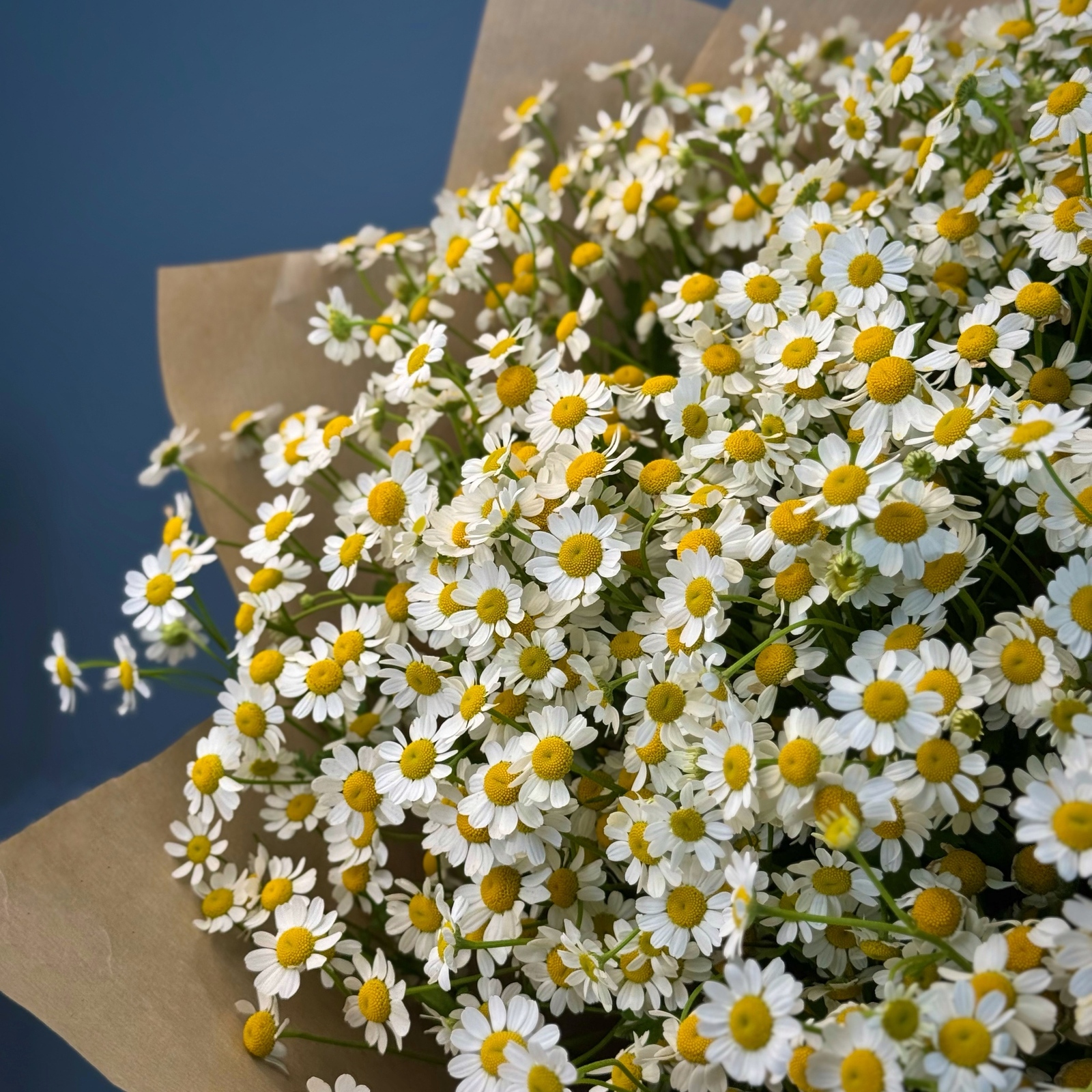 Букет из 21 ромашки