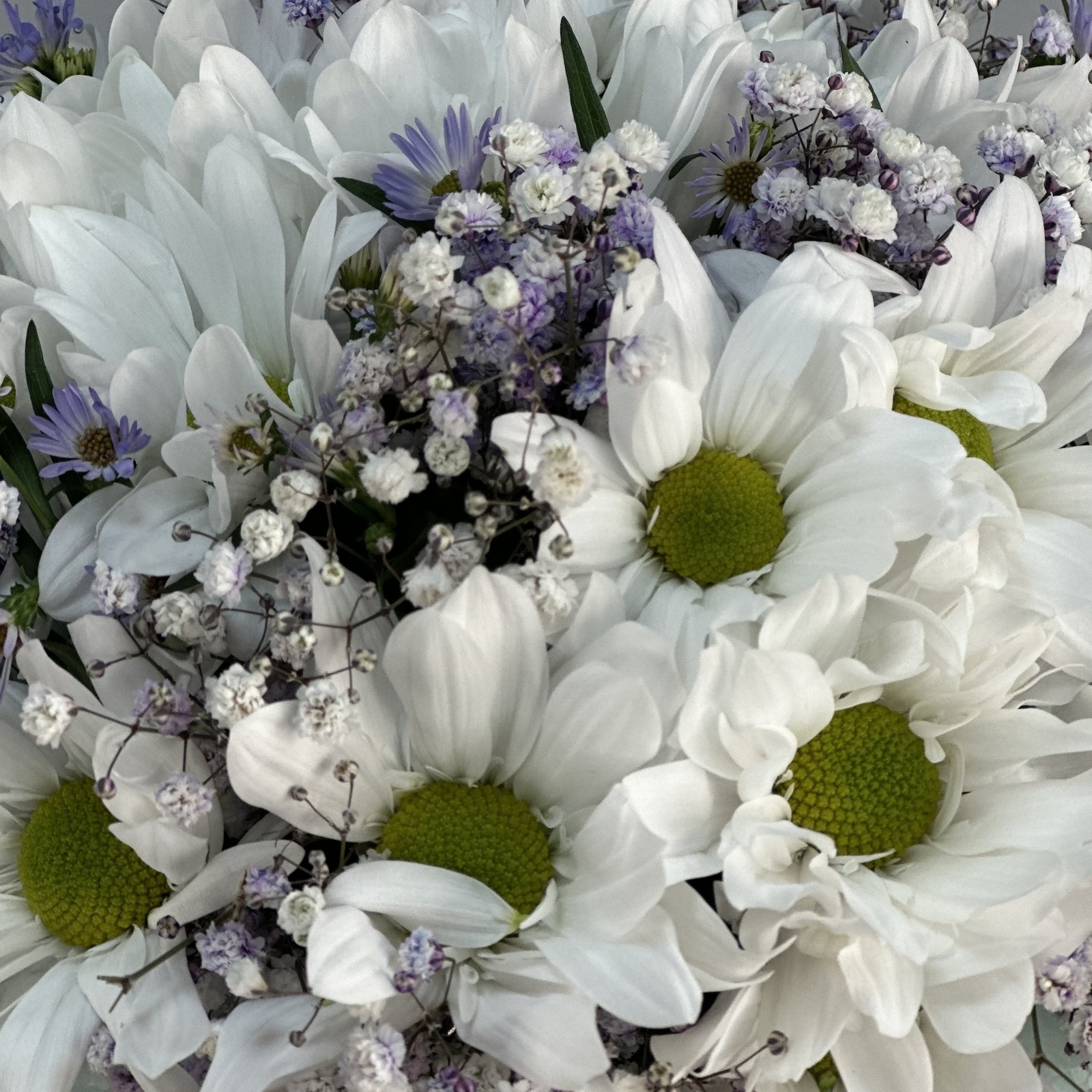 Цветы в коробке Лето