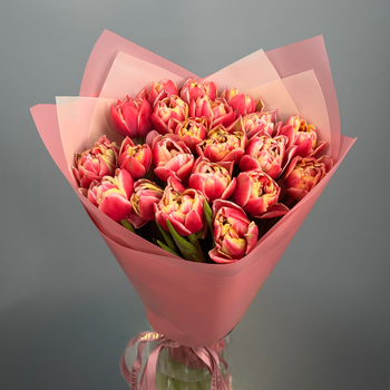 Букет из 41 малиновых пионовидных тюльпанов
