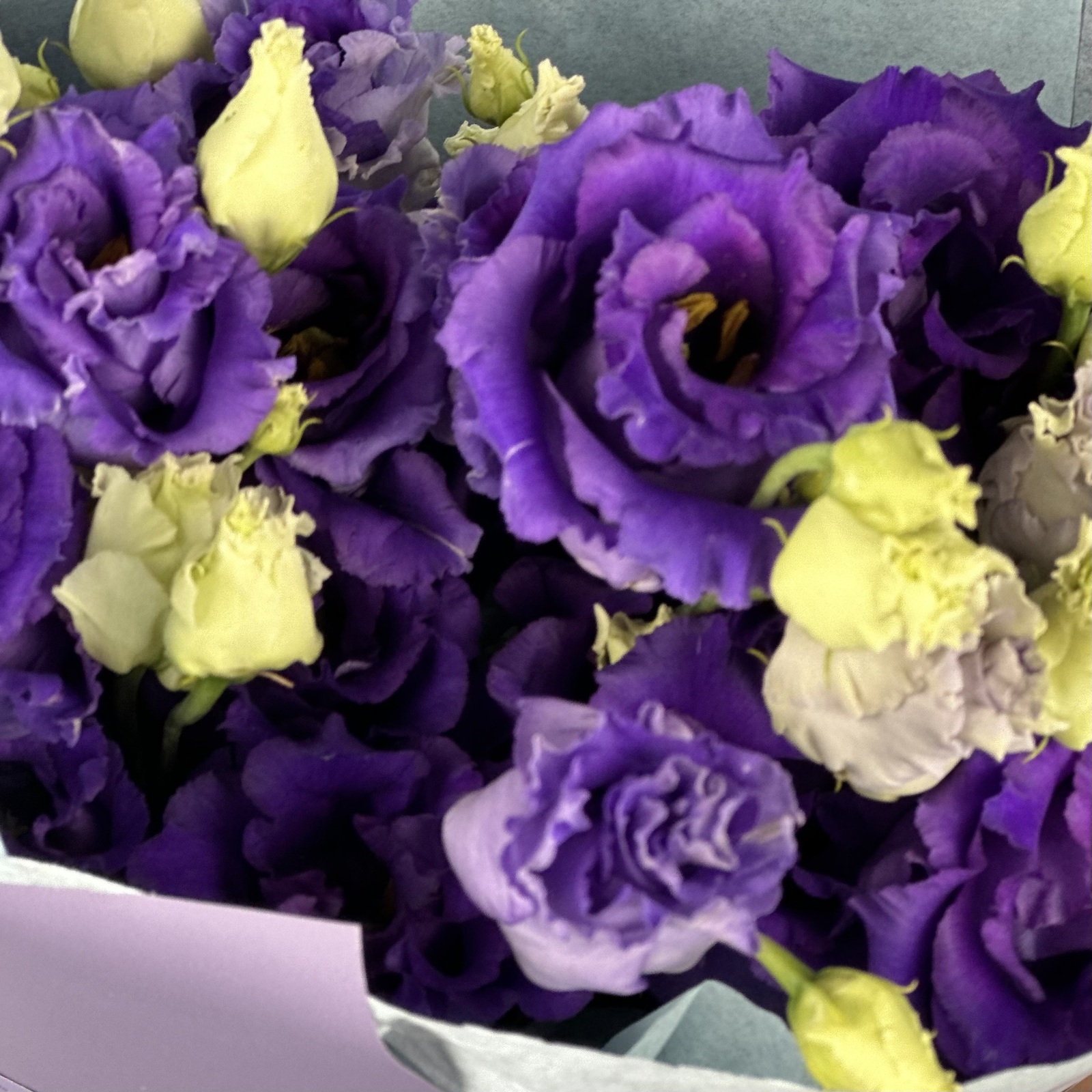 Букет из 5 фиолетовых лизиантусов