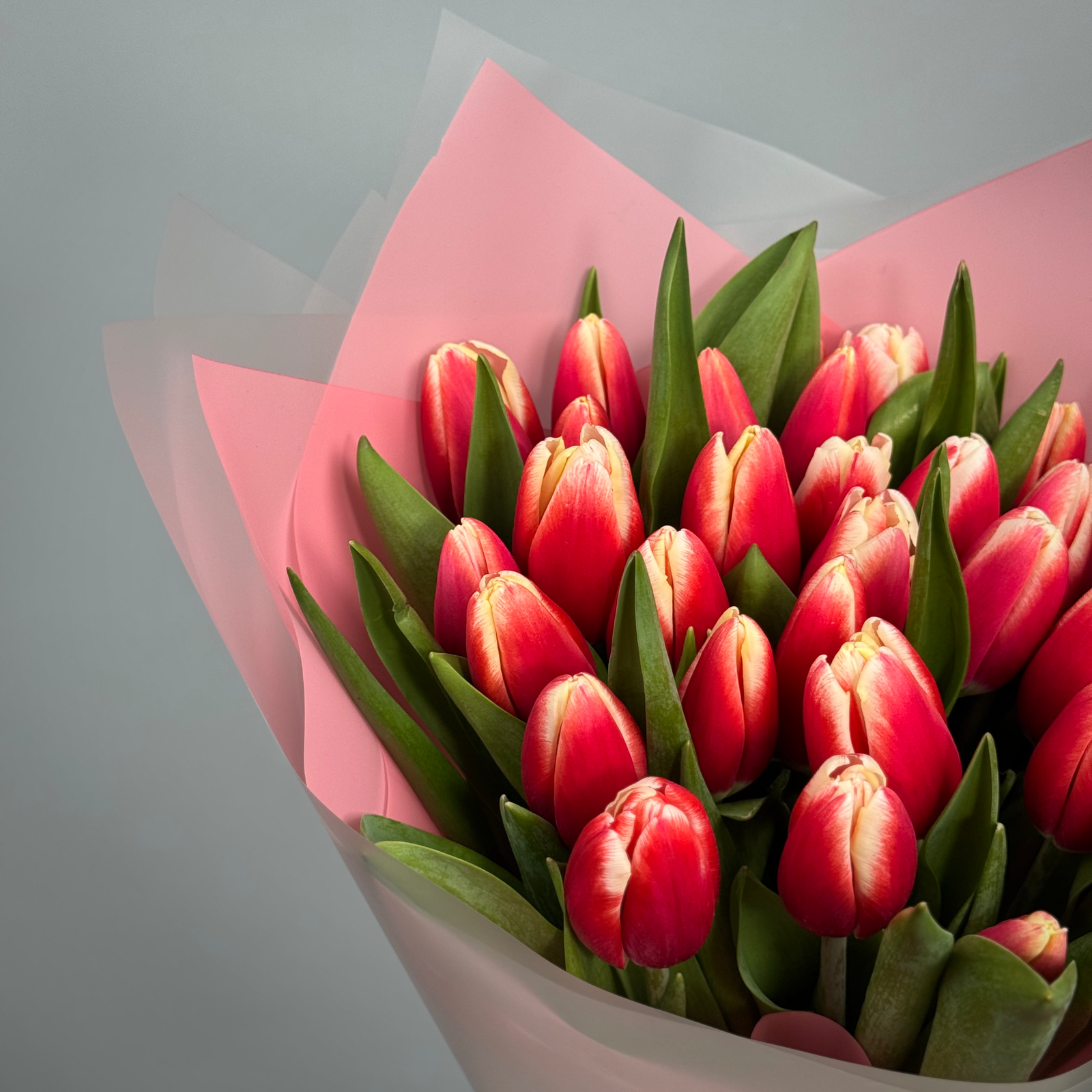 Букет из 31 красных тюльпанов
