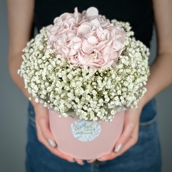 Цветы в коробке Принцесса на горошине