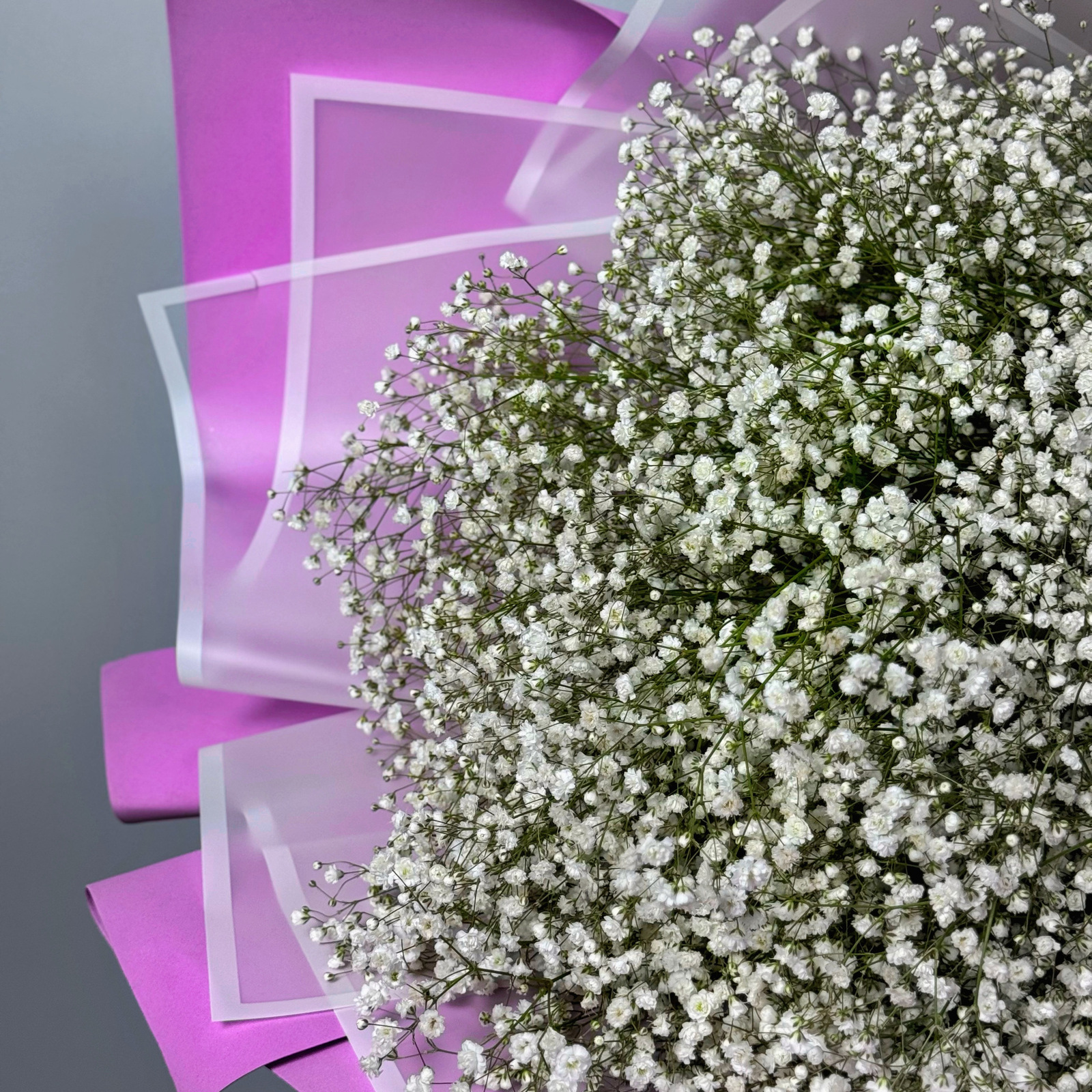 Букет из 25 белых гипсофил