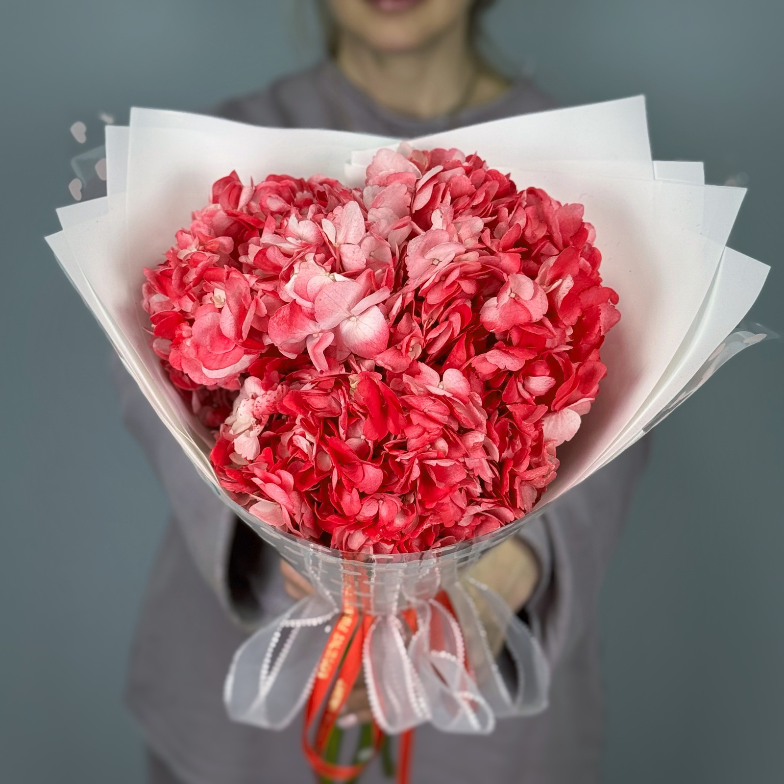 Букет из 5 красных гортензий