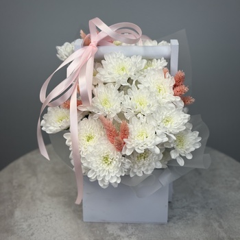 Цветы в ящике Морозное утро