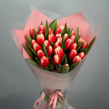 Букет из 31 красных тюльпанов