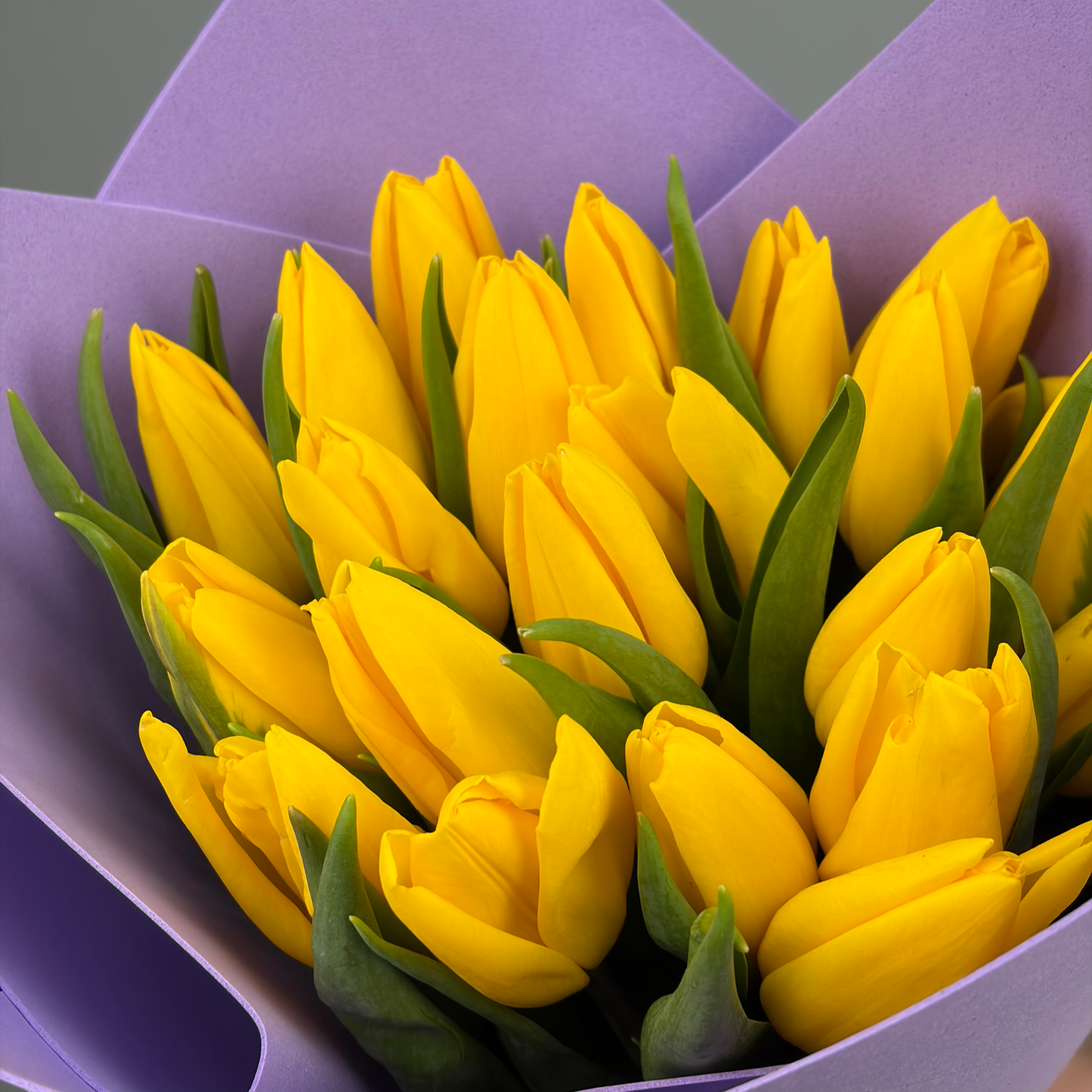 Букет из 31 желтых тюльпанов